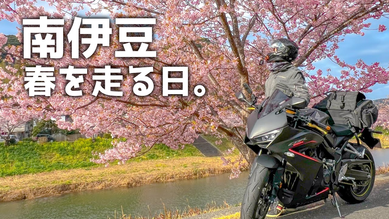 【南伊豆ツーリング】春を走る日。満開の河津桜と海、石廊崎へ【CBR650R E-Clutch】