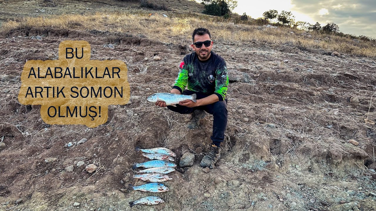 Alabalık Avı | Çok Güzel Canavar Alabalıklar Tuttuk. #fishing #troutfishing #alabalık #alabalıkavı