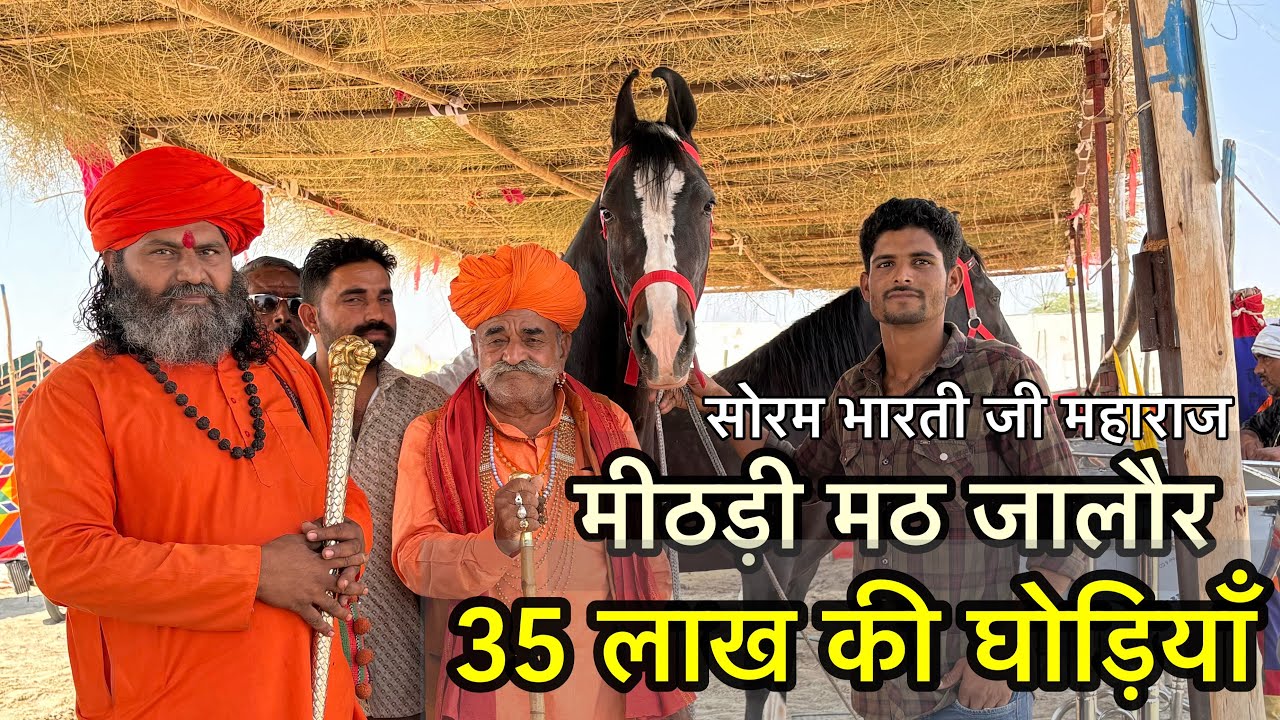 सोरम भारती जी महाराज मीठड़ी मठ जालौर की घोड़ियाँ के गुण और पहचान | balotra horse mela 2025