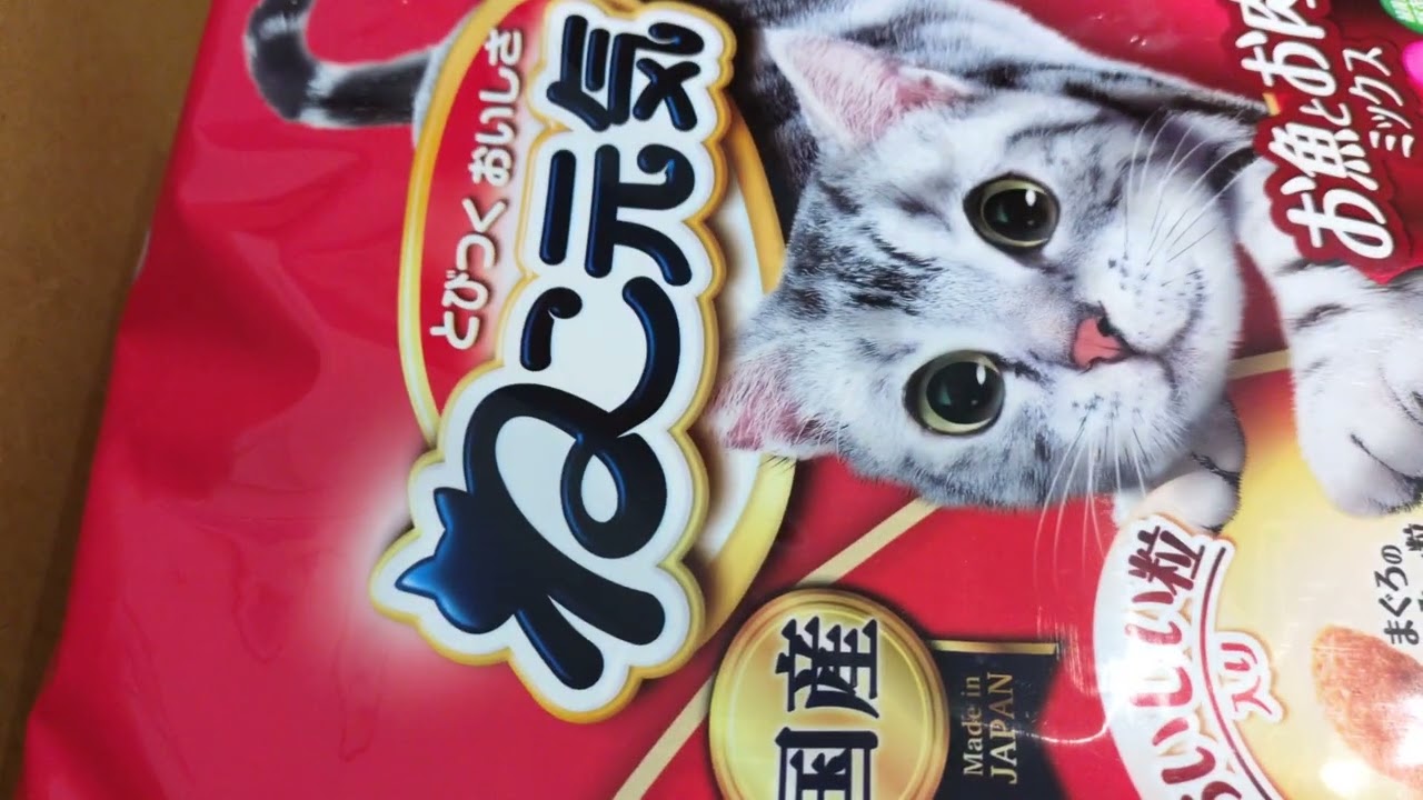 なんと‼️rokoちゃんからもお外猫ちゃんのカリカリが届きました📦️暖かなお気持ちに言葉が出ません。ありがとうございますm(_ _)m