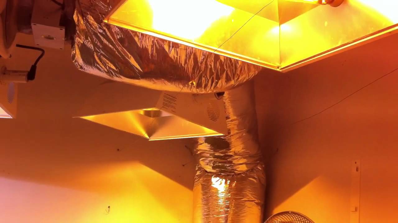Freind's 6,000W Grow Room sfv OG
