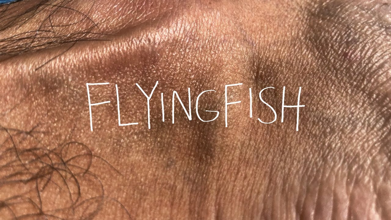 FLYINGFISH - UM FILME DE BRUNO CEZARIO