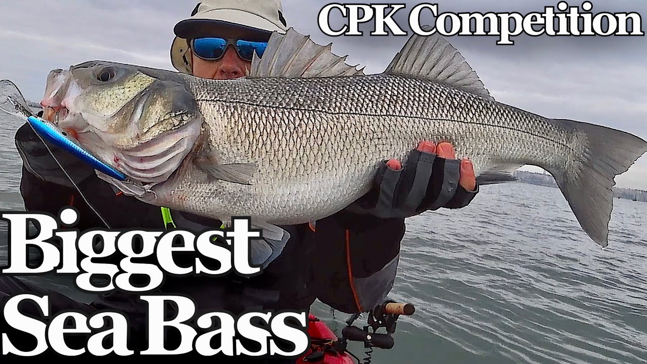 Maior Robalo do 3º Torneio CPK - Clube Pesca em Kayak - Pesca ao Corrico com Amostras  - 4K