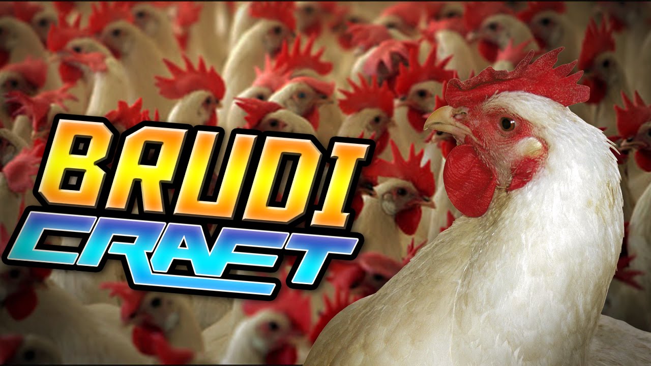 MEISTER DER H&Uuml;HNER! - Brudicraft #20 | Ardymon