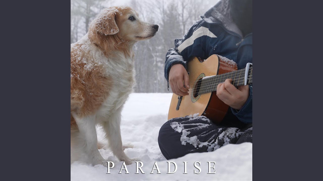 Paradise