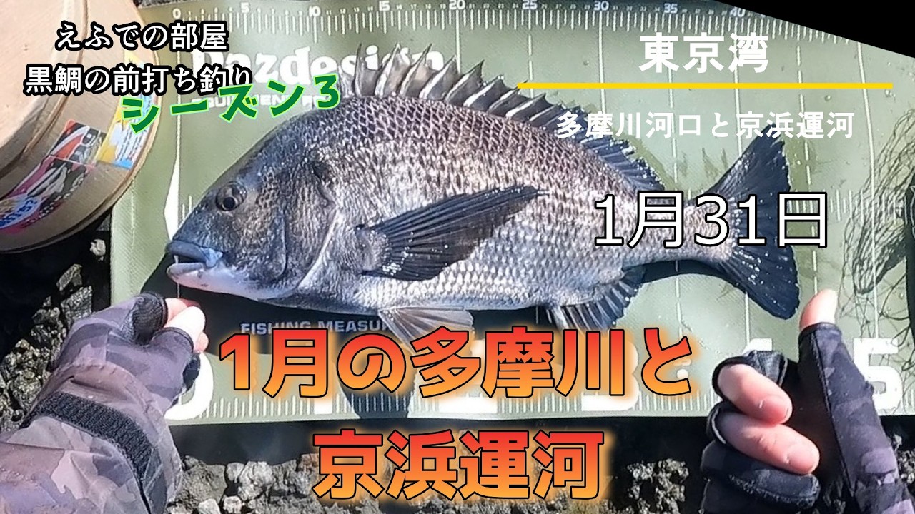 東京湾の前打ち：1月の多摩川と京浜運河