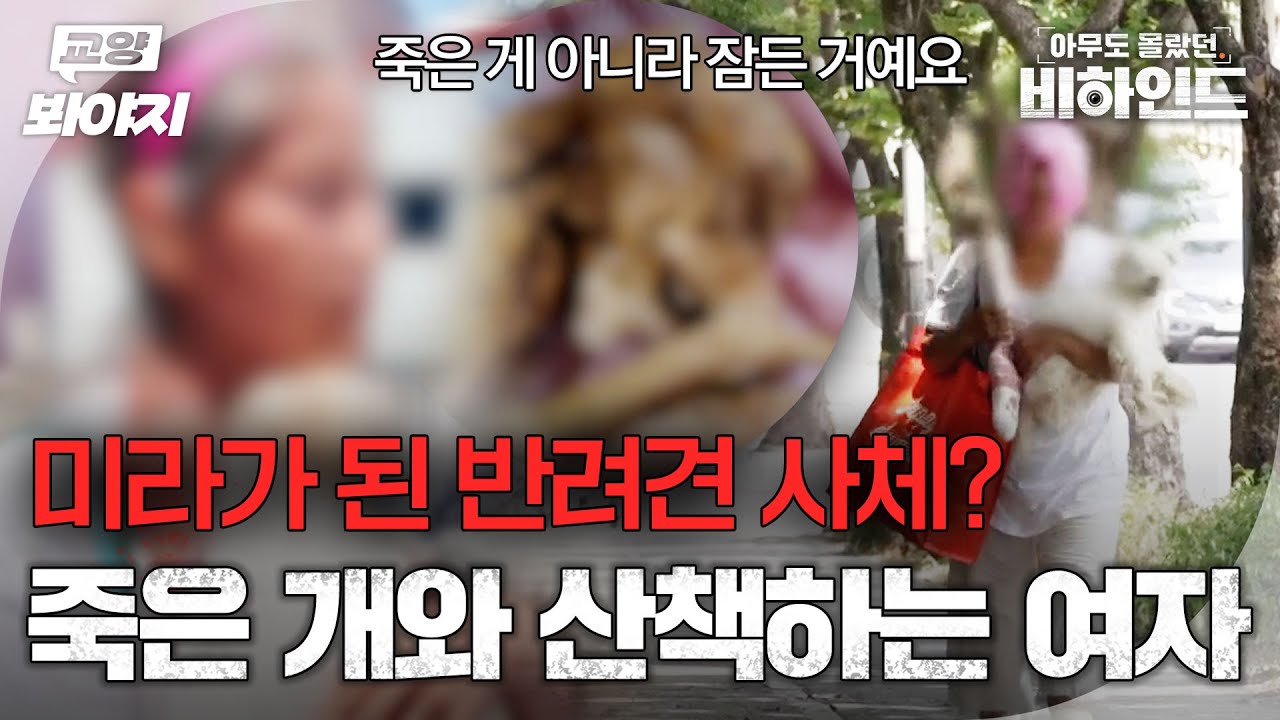 ＂박제가 아닌 자연건조＂ 전문가도 놀란 사체 상태?! 죽은 개와 산책하는 의문의 여인ㅣ아무도 몰랐던, 비하인드｜JTBC 250722 방송