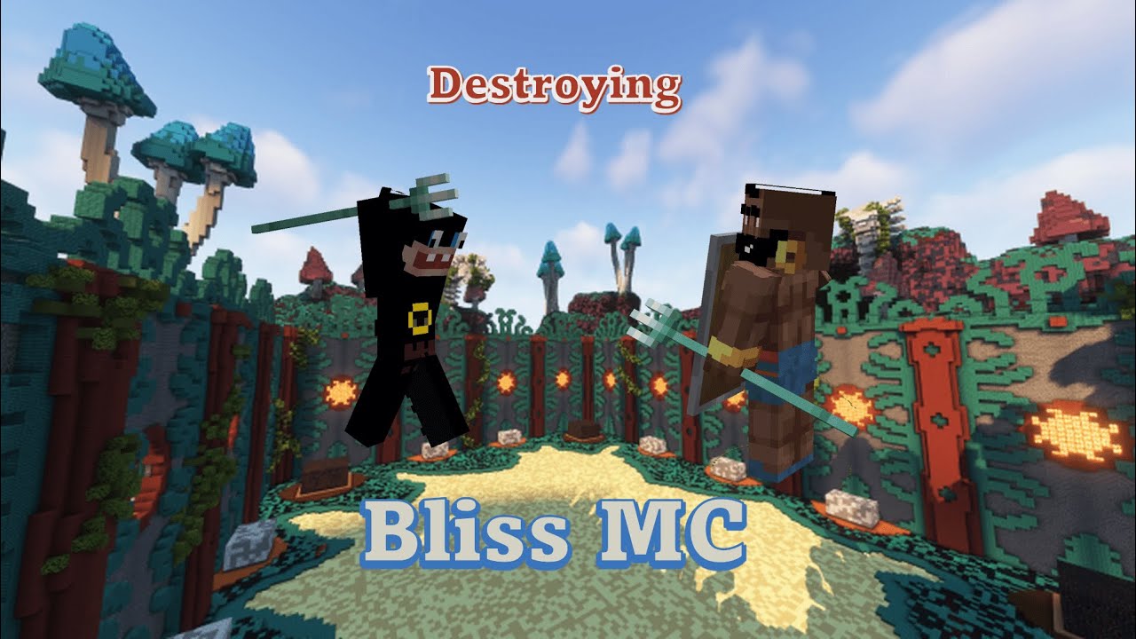 Bliss MC Montage #1