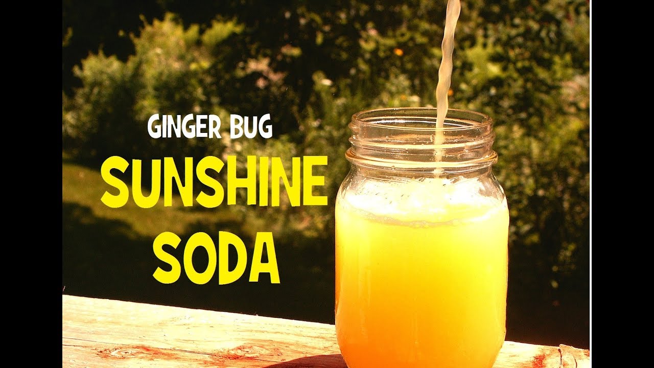 Газировка Ginger Bug Sunshine | Рецепт ферментированной апельсиновой газировки
