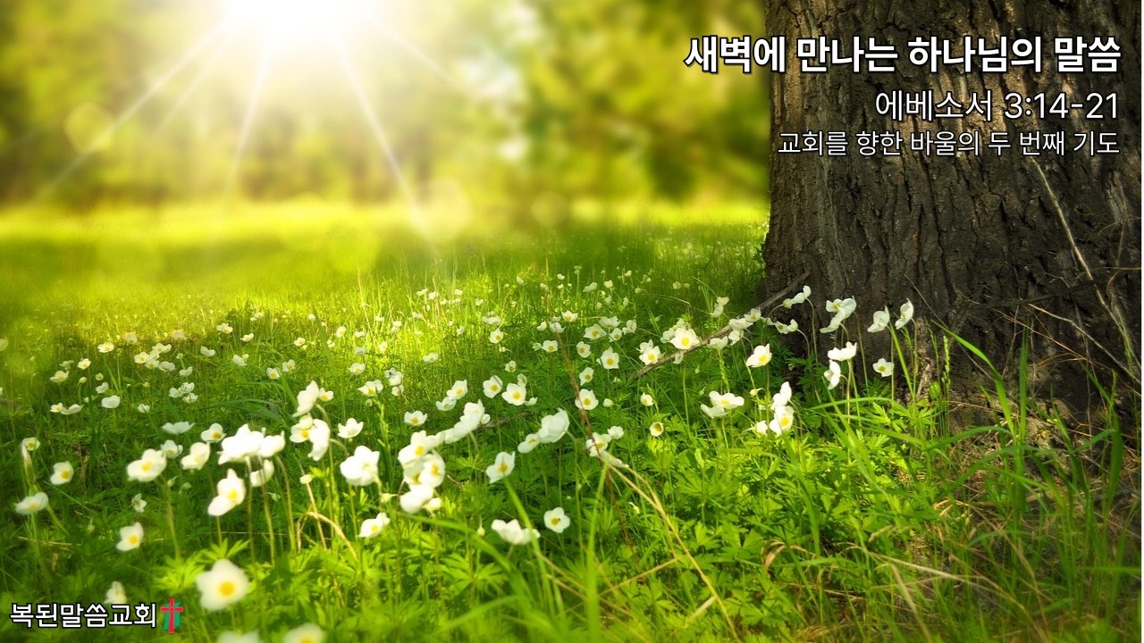 교회를 향한 바울의 두 번째 기도 / 에베소서 3:14-21