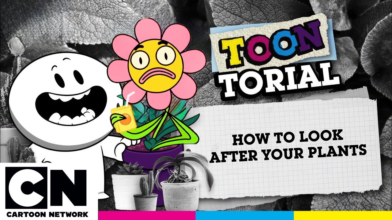 How to Look After Your Plants | Toontorial | @cartoonnetworkuk