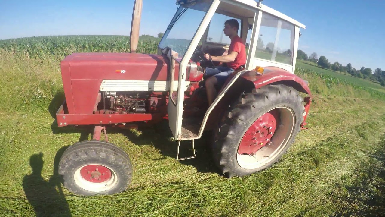 Foin 2019 en Alsace