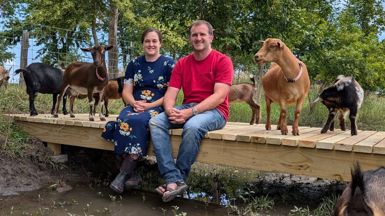 Goats HATE Water - Build Bridges, Not Fences