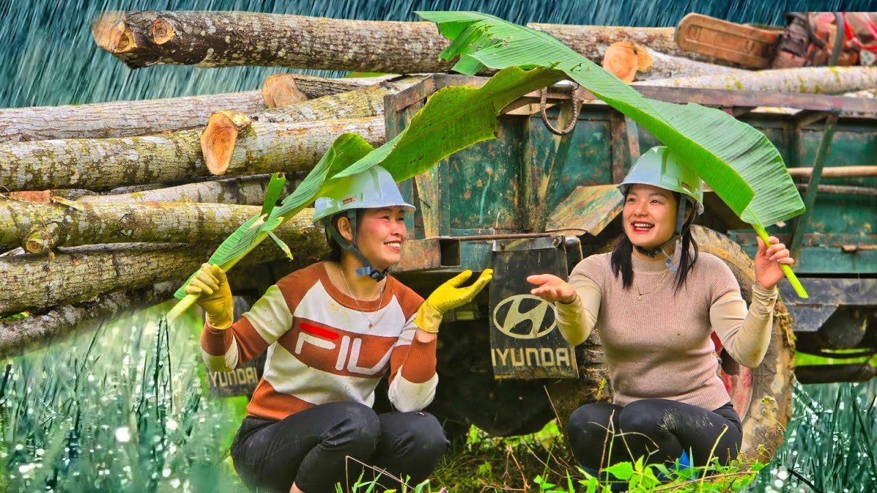 Agricultural vehicle,two Vietnamese girls felling logs on a rainy and windy day.#wood #tractor #farm