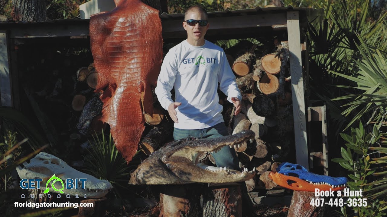 Get Bit Outdoors - Gator Hunt Rates & Taxidermy