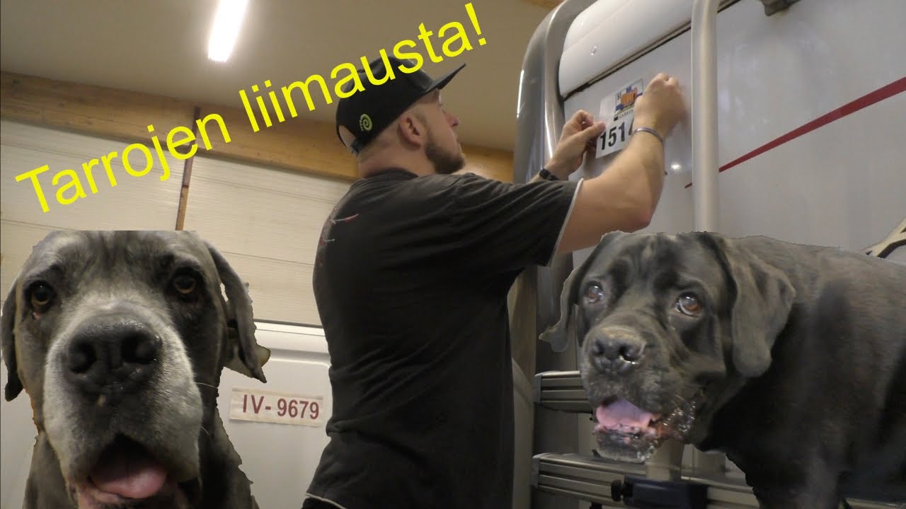 Elokuu 2022 : Mokattiin tarroissa jo ennenkun alotettiin & katsojakysymys...