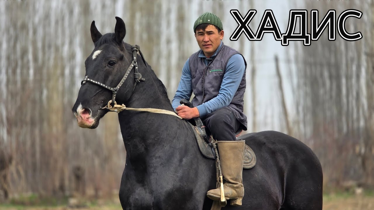 ХАДИС