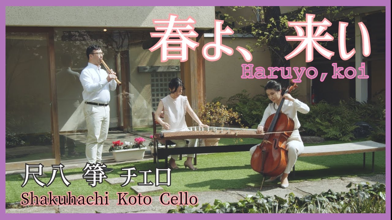 春よ、来い - 松任谷由実 / Shakuhachi Koto Cello(Cover)