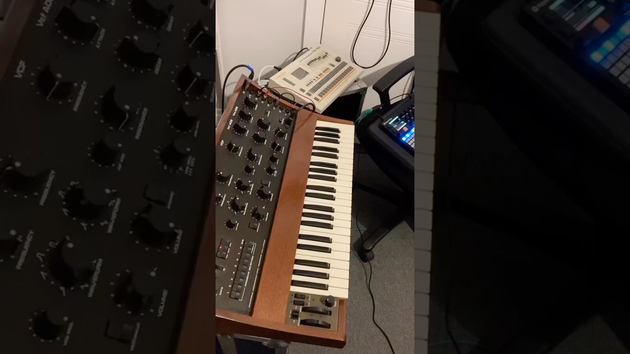 RSF Kobol baseline with Roland TR-707 #rsfkobol #rolandtr707 #rsfkobolexpander