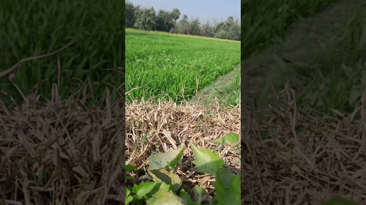 Jay Kumar8340 is live