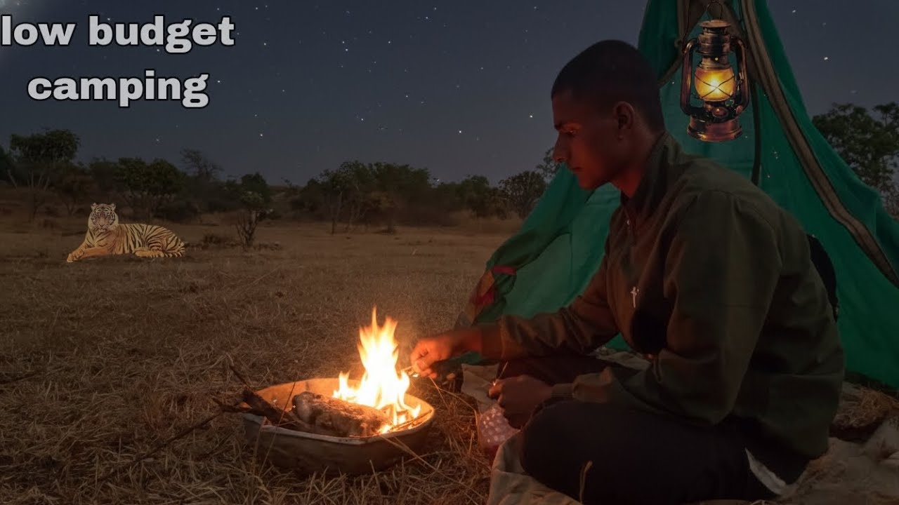 Low budget camping in jungle | solo camping | jungle camping