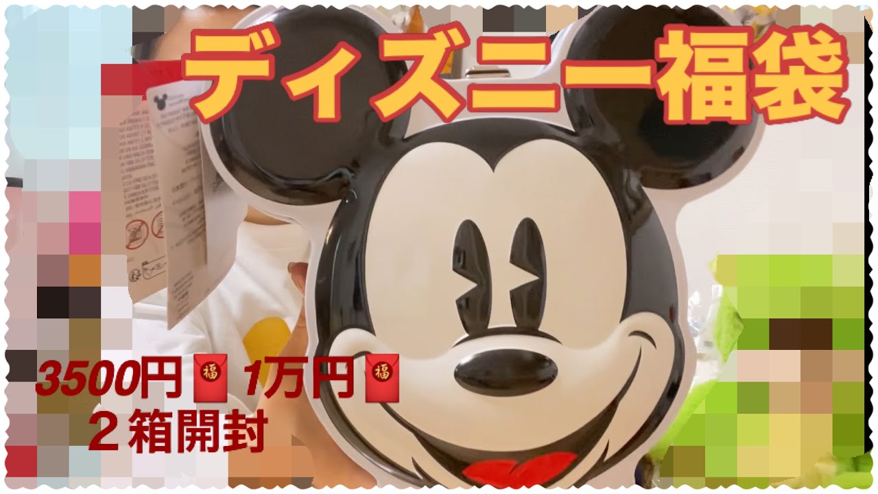 【ディズニー福袋】一万円、3500円２箱開封