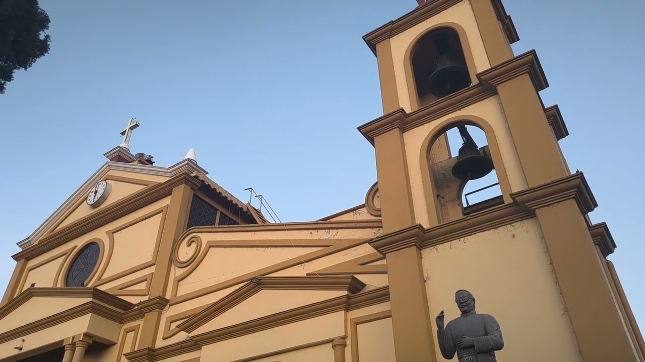 Hoy señor te damos gracias 