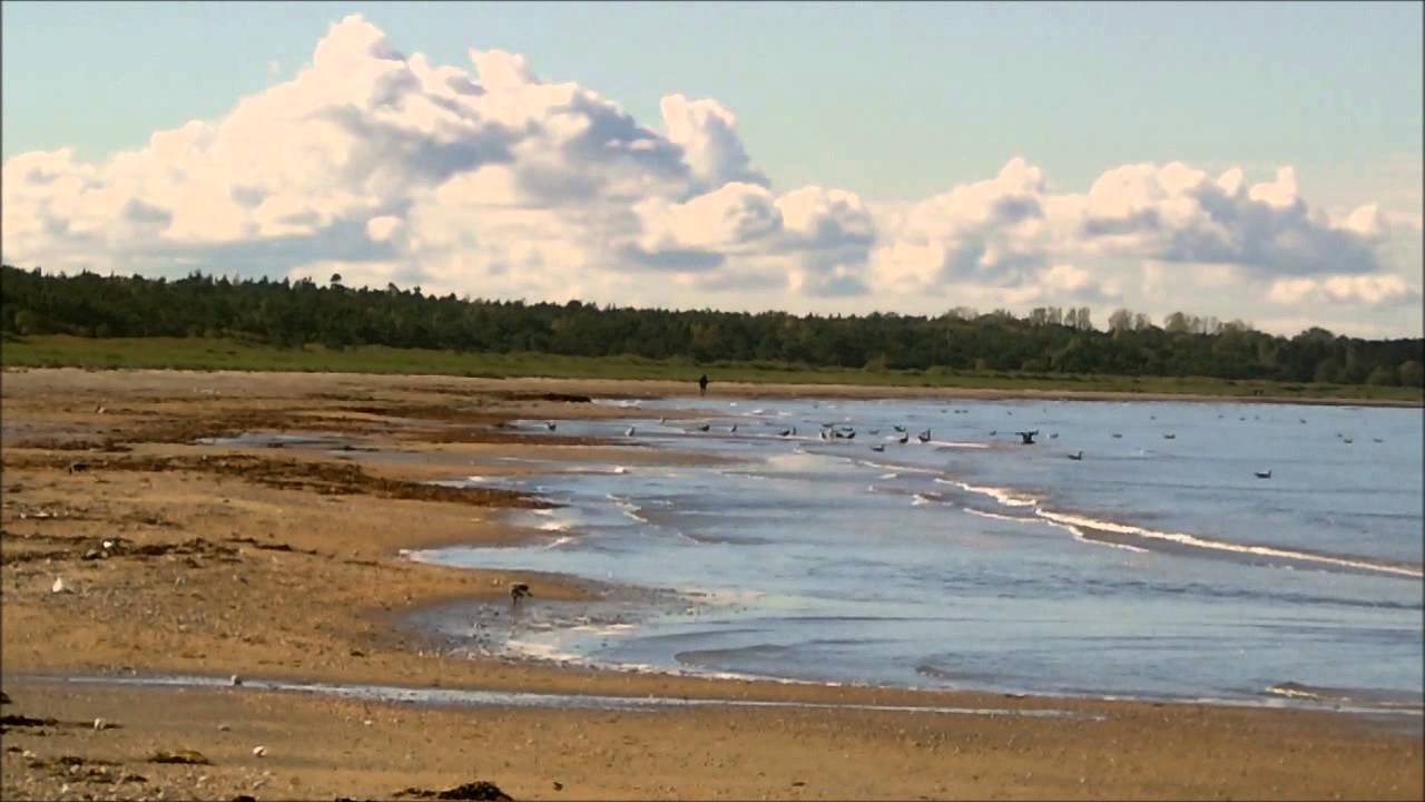 Sk&auml;ldervikens Strand Och Klitterhus - &Auml;ngelholm