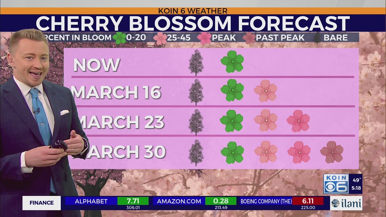 Wet weather ramps up in Portland