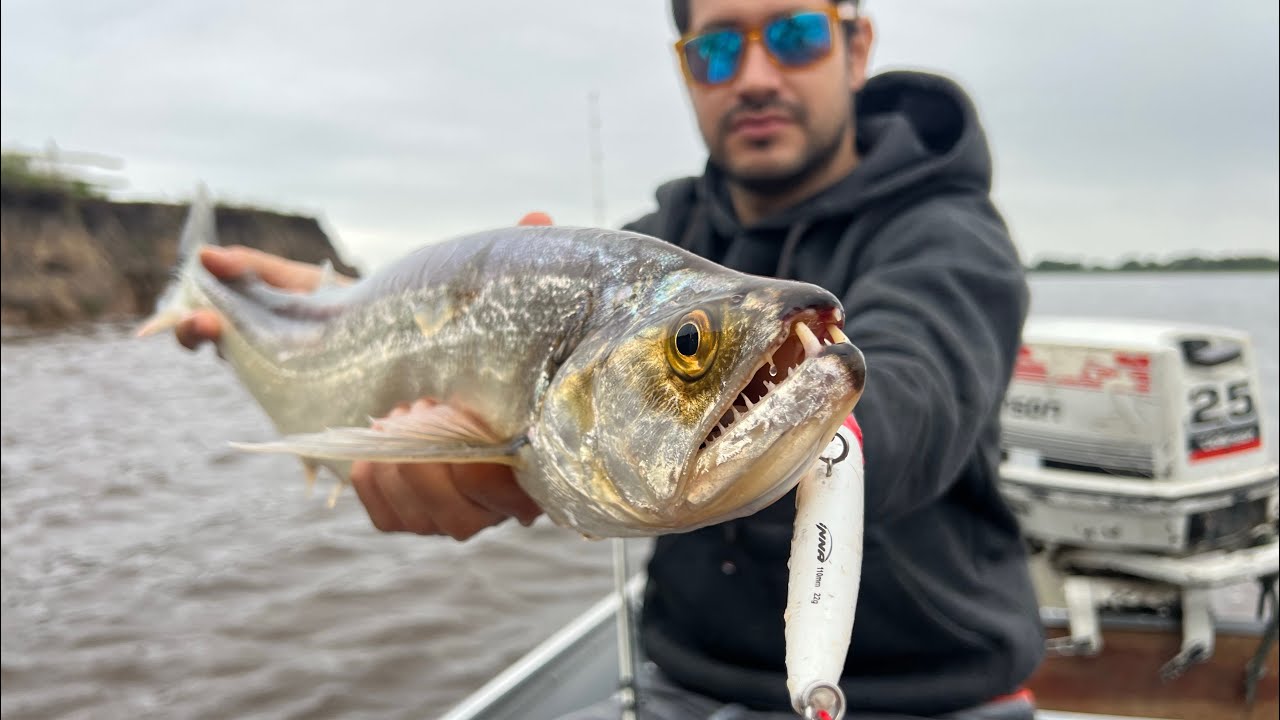 Pesca en puerto para&iacute;so - R&iacute;o Paraguay
