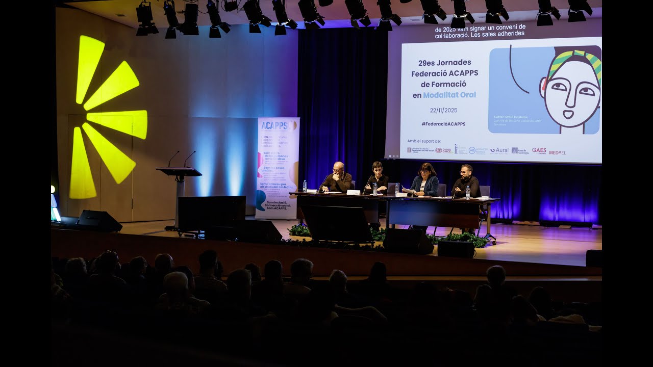 Taula rodona: L’accessibilitat a la cultura