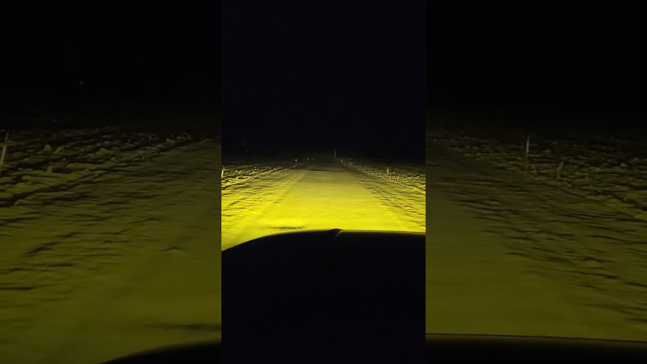 Diode Dynamics SS3 Pro amber fog lights vs bright headlights in snow Ford F150 #diodedynamics