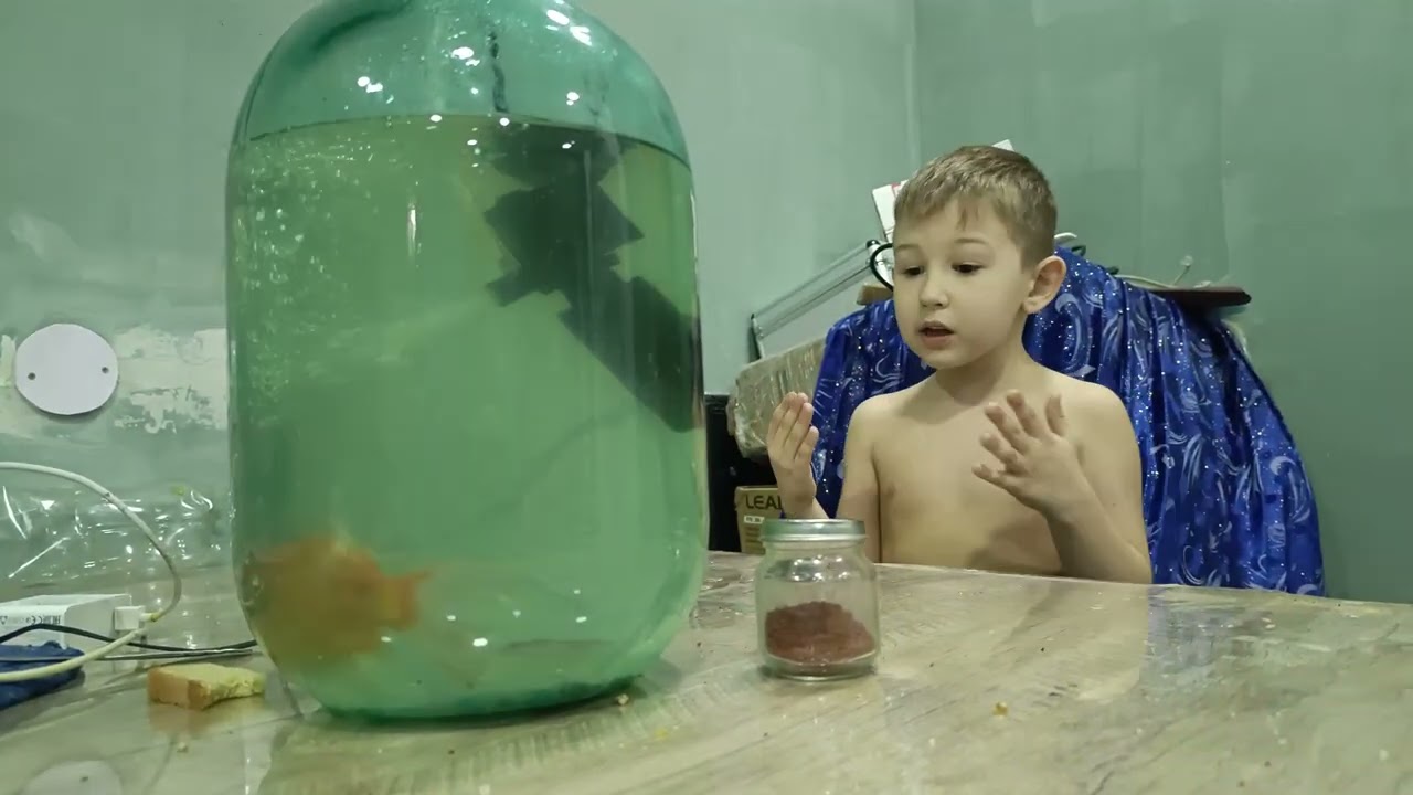 Марк Эммануэль рассказывает про рыбку  #маркэммануэль #топ #familitime 