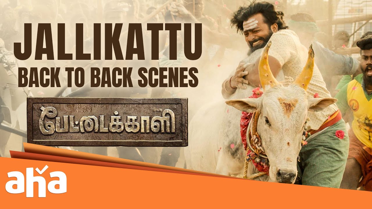 Back to Back Jallikattu Scenes! 💥 Watch Pettaikaali on #ahaTamil