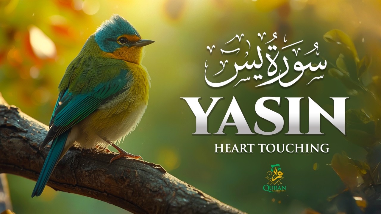 سورة يس 💖 Surah Yaseen | Heart-Touching Quran Recitation | #surahyasin