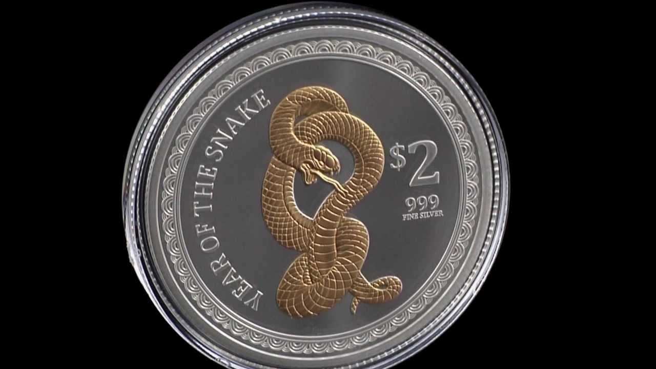 2013 Gilded Snake Proof 1 oz Silver Lunar Coin | Gainesville Coins