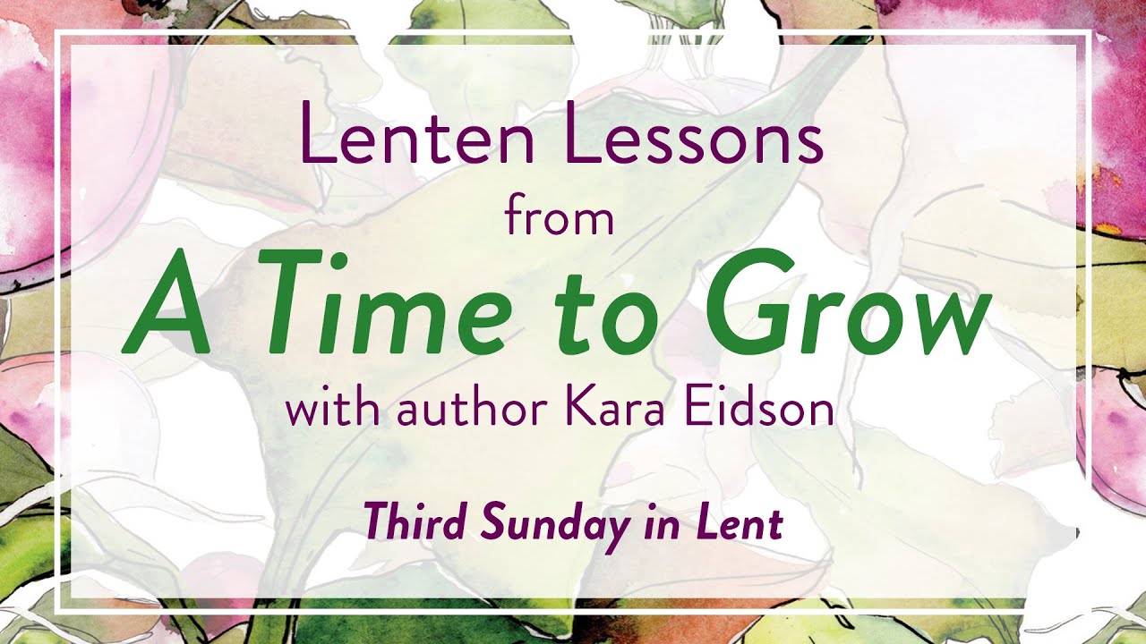 Water: A Reflection for the Third Sunday in Lent
