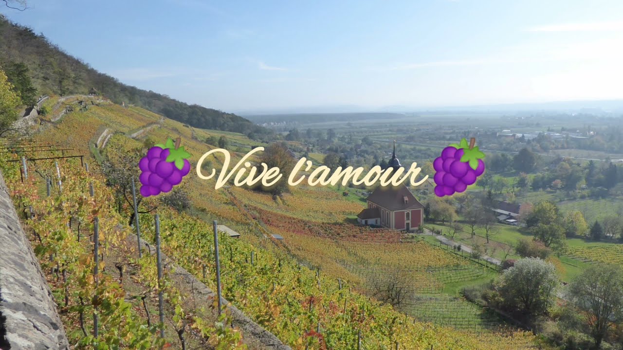 Vive l'amour