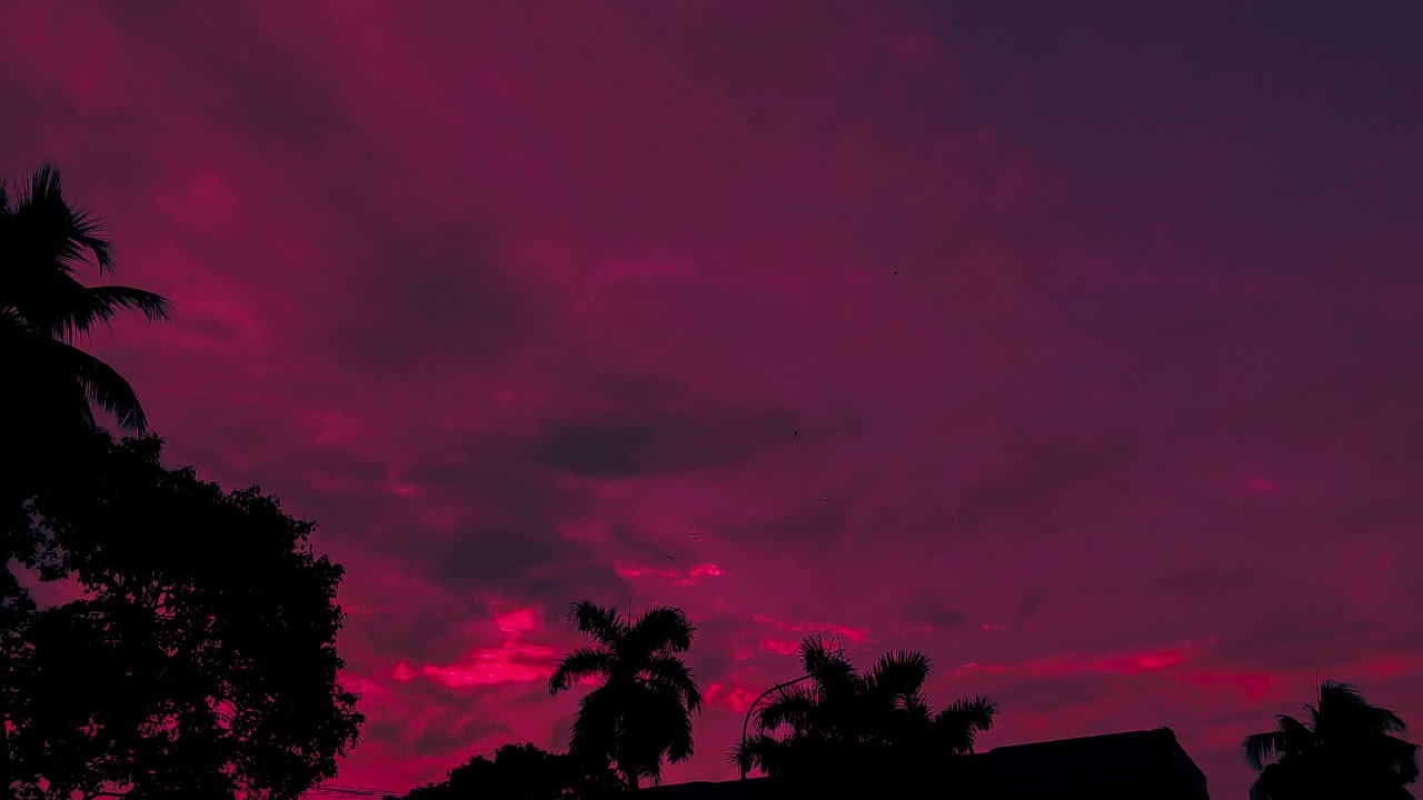 Ｌｙｎｙｒｄ　Ｓｋｙｎｙｒｄ　－　Ｓｗｅｅｔ　Ｈｏｍｅ　Ａｌａｂａｍａ　（Ｖａｐｏｒｗａｖｅ）