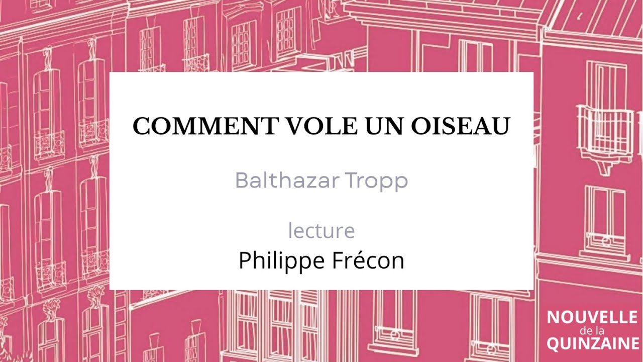 Comment vole un oiseau de Balthazar Tropp, lu par Philippe Frécon