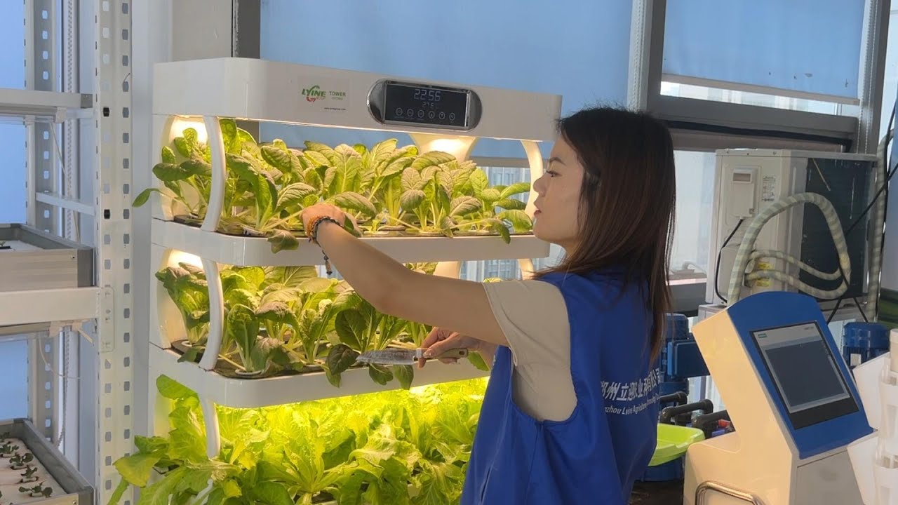 Your Lyine Smart  Hydroponic Garden: How to Harvest, Clean & Replant Veggies (Step-by-Step)