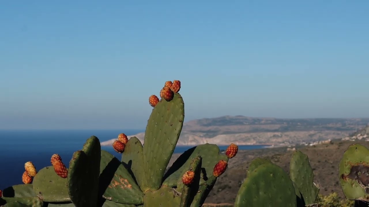 Exploring the abandoned Village - Vathia - Mani Peninsula