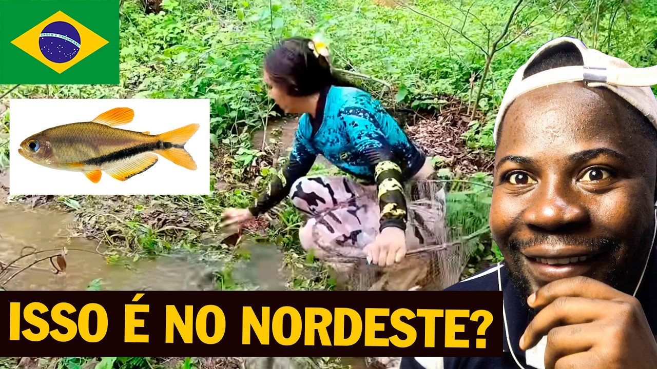 PEIXES INVADEM RUA DO NORDESTE EM CENA IMPRESSIONANTE!