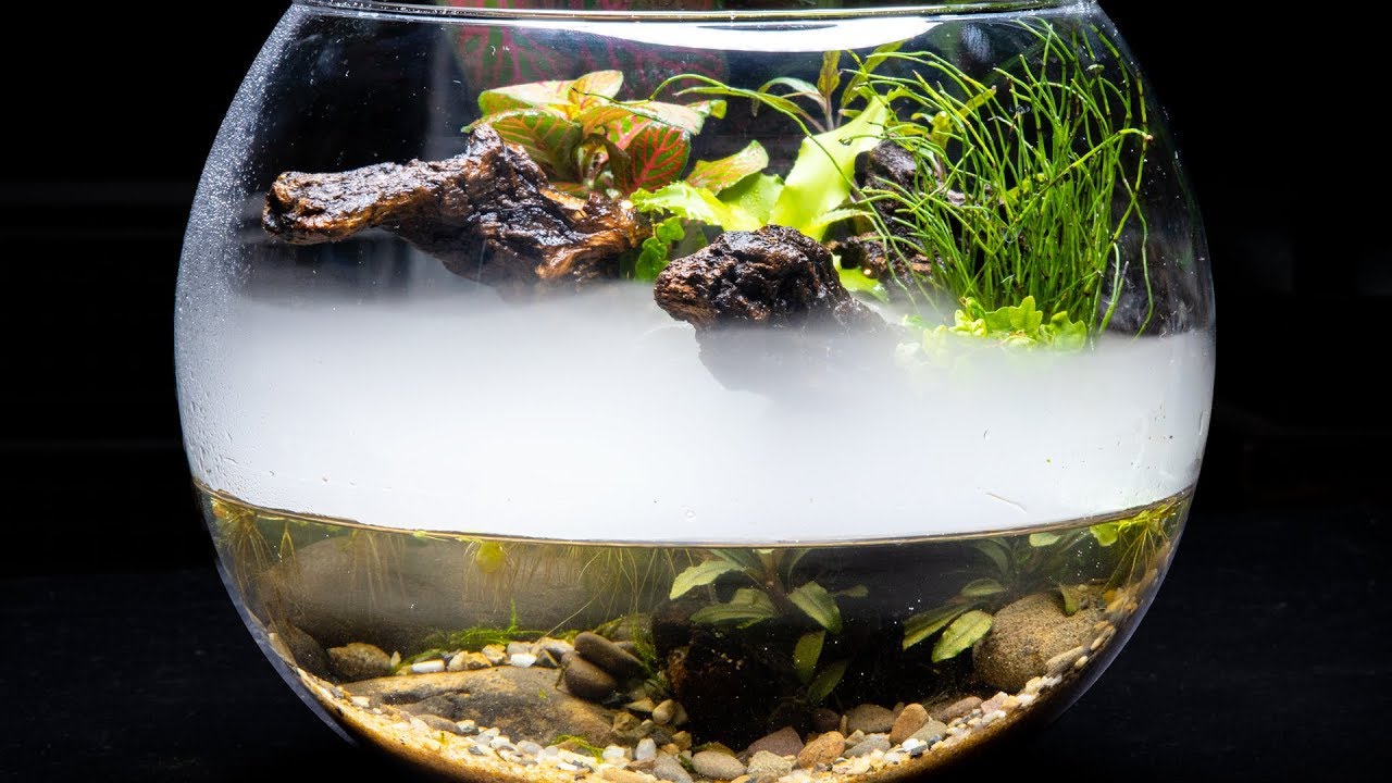 Making a Foggy Riparium Bowl
