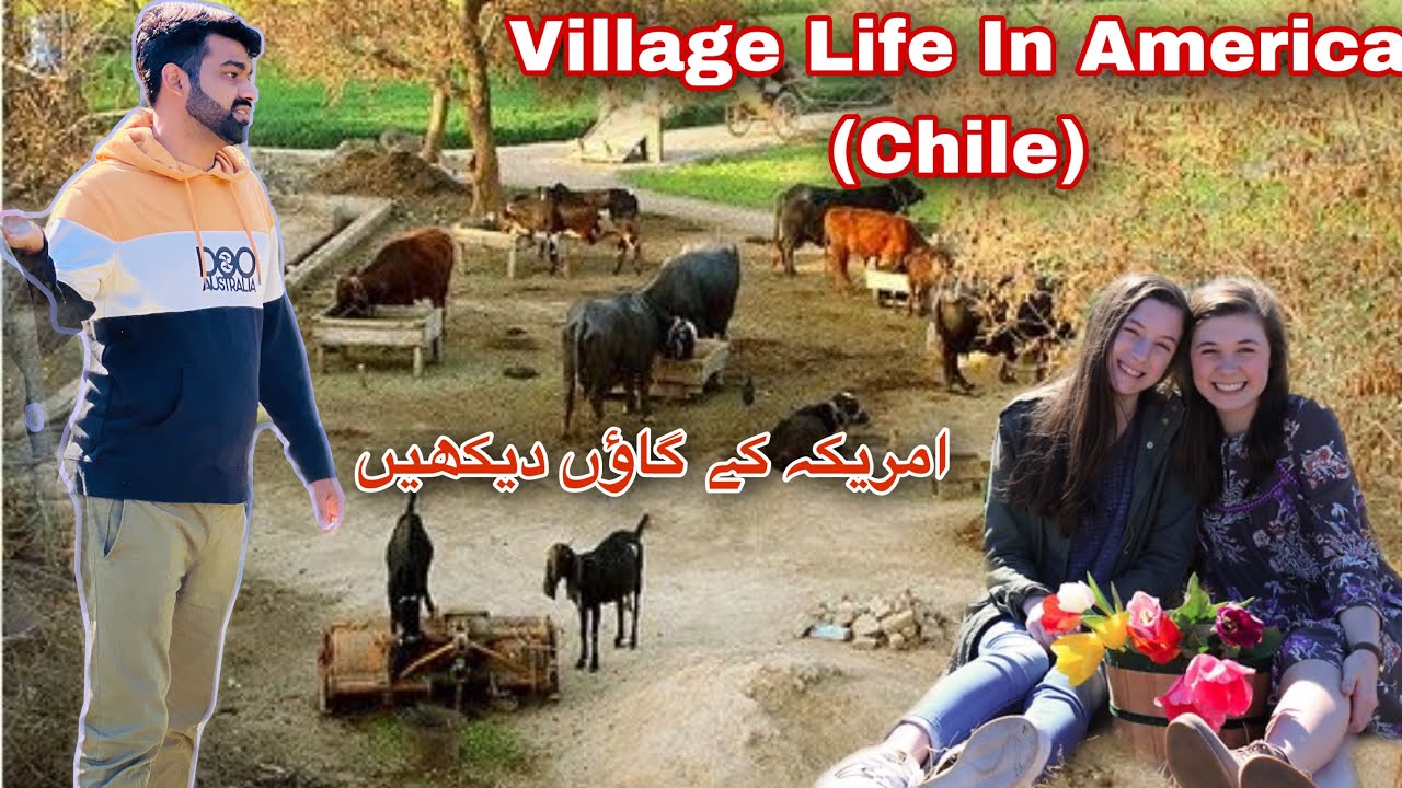 Village Life In America (Chile) Part 2 | America Rural Life | Village in America (Chile) Urdu/Hindi
