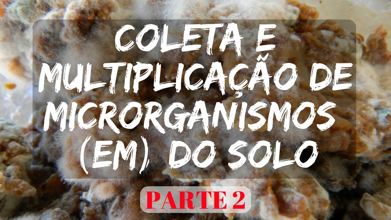Coleta e multiplicação de microrganismos (EM) - Parte 2