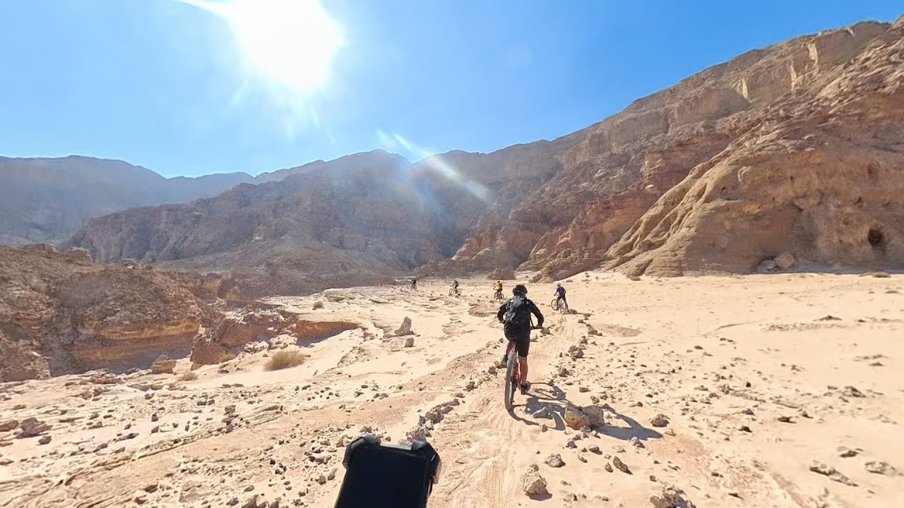 סינגל תמנע דצמבר 24