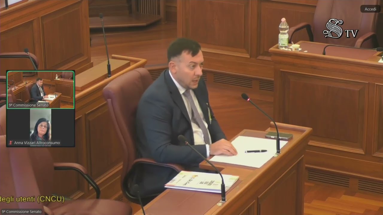 Audizione al Senato sul Ddl Concorrenza 2025