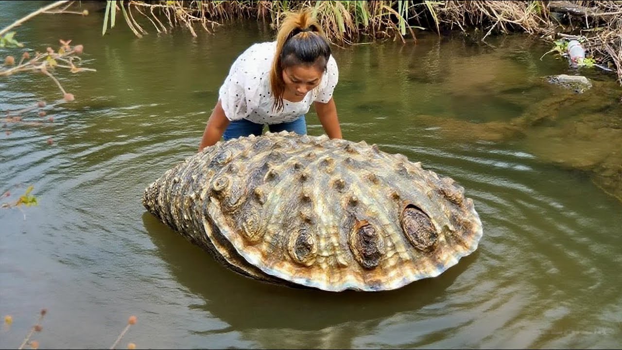 Discovered a huge mutated river clam, and the pearls under its strange shell are very beautiful