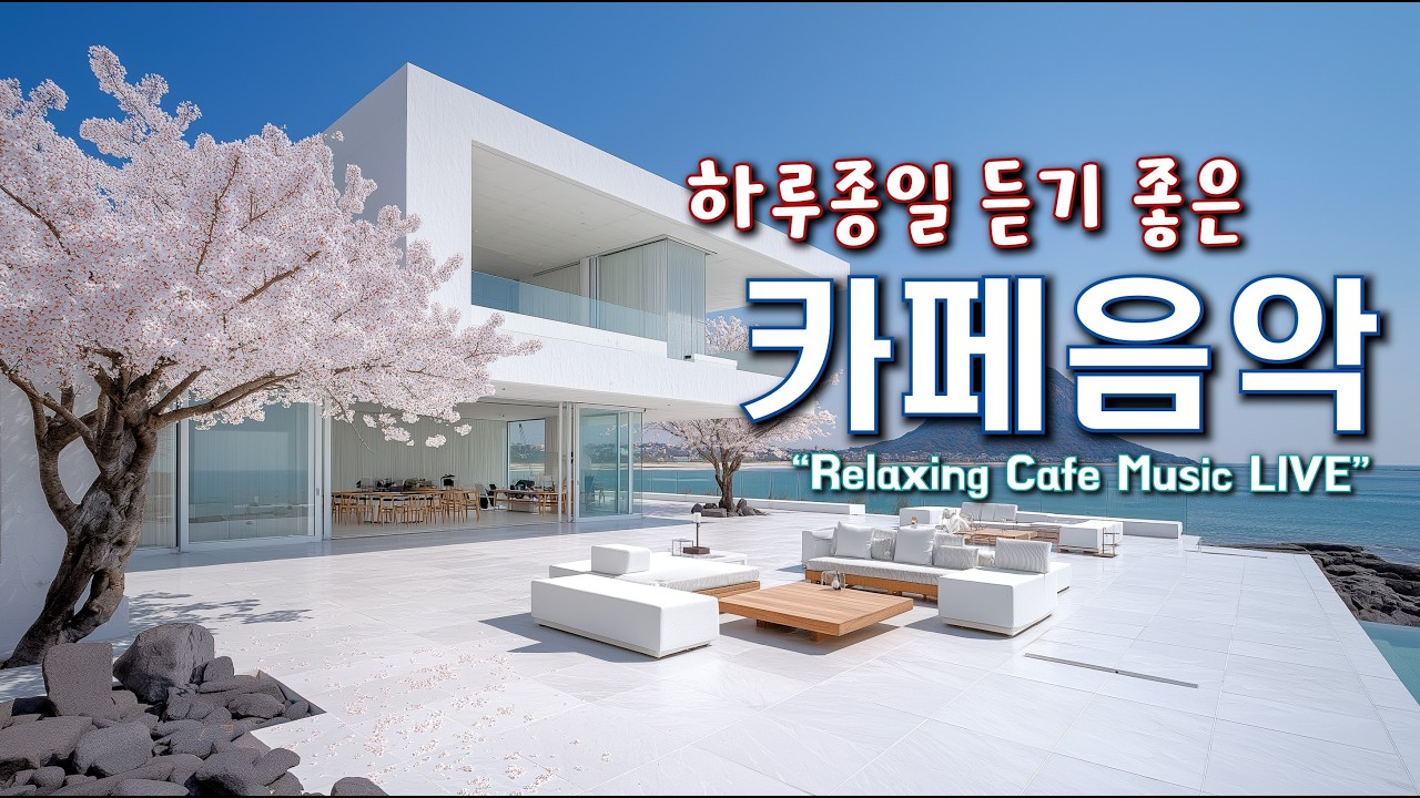 편안한 카페 음악과 하루를 함께 하세요 ☕일할때 듣기 좋은 음악 🎧아침에 듣기 좋은 음악 | Relaxing Cafe Music Playlist 260308